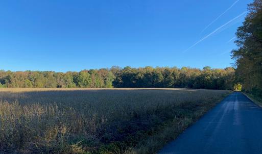 Photo #9 of GOSPEL TEMPLE RD, KELLER, VA 55.0 acres