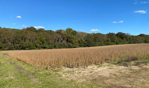 front corner of parcel