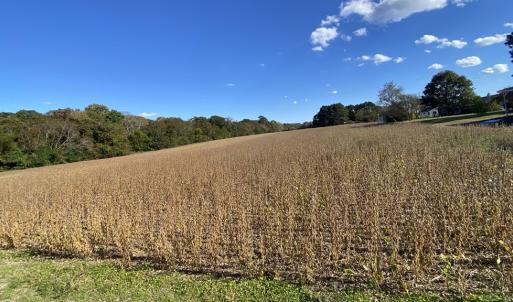 view across the parcel