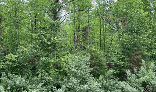 Photo #5 of Lot B and C MONTVIEW DR, RUCKERSVILLE, VA 21.7 acres