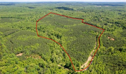 Photo #1 of GREEN CREEK RD, SCHUYLER, VA 110.0 acres