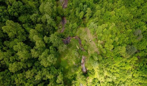 Photo #26 of GREEN CREEK RD, SCHUYLER, VA 110.0 acres