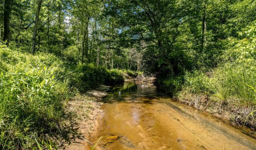 Photo #10 of GREEN CREEK RD, SCHUYLER, VA 110.0 acres