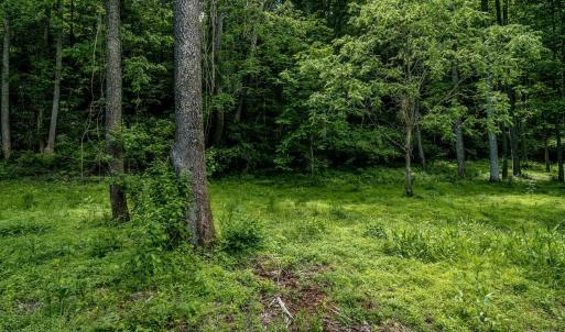 Photo #13 of GREEN CREEK RD, SCHUYLER, VA 110.0 acres