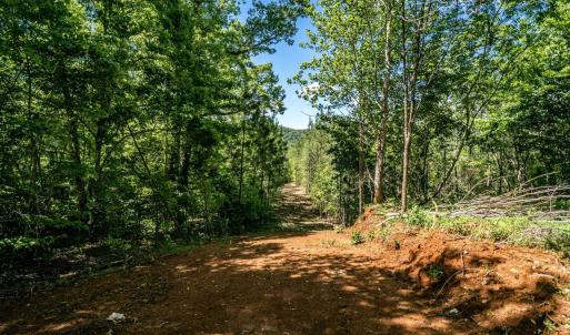 Photo #17 of GREEN CREEK RD, SCHUYLER, VA 110.0 acres
