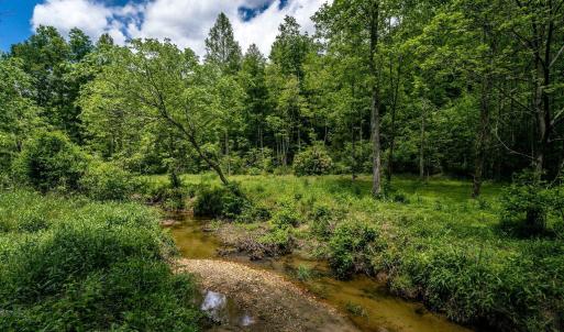 Photo #3 of GREEN CREEK RD, SCHUYLER, VA 110.0 acres