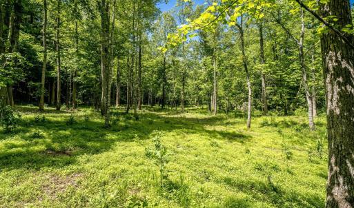 Photo #14 of GREEN CREEK RD, SCHUYLER, VA 110.0 acres