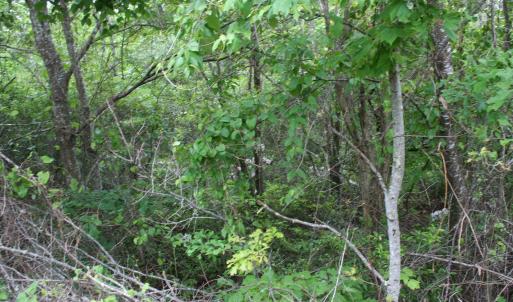 Photo #7 of Lot 90 SUMMIT DR, MONTEREY, VA 5.0 acres