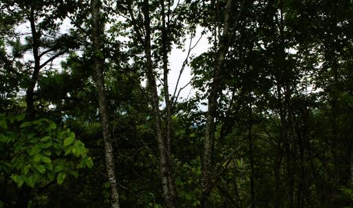 Photo #6 of Lot 90 SUMMIT DR, MONTEREY, VA 5.0 acres