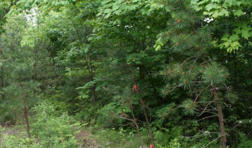Photo #8 of Lot 90 SUMMIT DR, MONTEREY, VA 5.0 acres