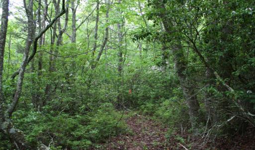 Photo #1 of Lot 90 SUMMIT DR, MONTEREY, VA 5.0 acres