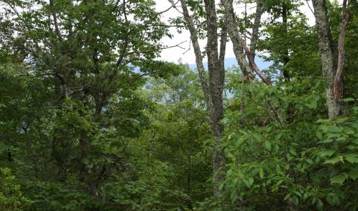 Photo #3 of Lot 90 SUMMIT DR, MONTEREY, VA 5.0 acres