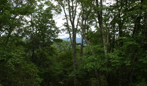 Photo #9 of Lot 90 SUMMIT DR, MONTEREY, VA 5.0 acres