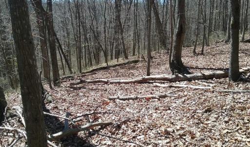 Photo #4 of 0 ROLLINS FORD ROAD, AMISSVILLE, VA 73.9 acres