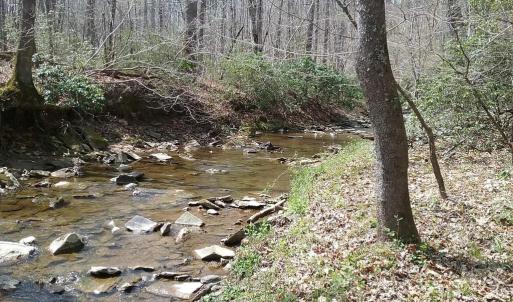 Photo #5 of 0 ROLLINS FORD ROAD, AMISSVILLE, VA 73.9 acres