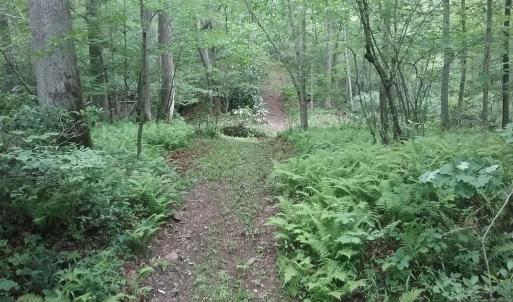 Photo #10 of 0 ROLLINS FORD ROAD, AMISSVILLE, VA 73.9 acres