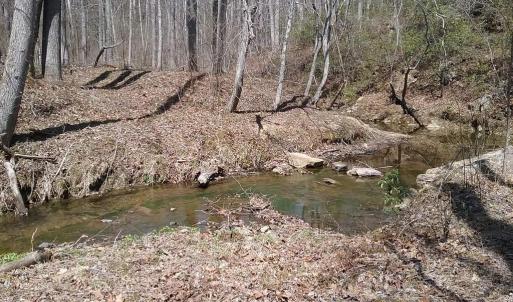 Photo #16 of 0 ROLLINS FORD ROAD, AMISSVILLE, VA 73.9 acres