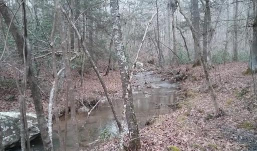 Photo #22 of 0 ROLLINS FORD ROAD, AMISSVILLE, VA 73.9 acres