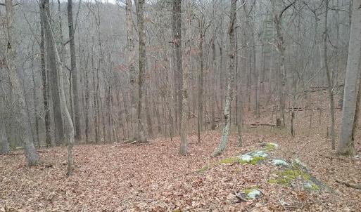 Photo #23 of 0 ROLLINS FORD ROAD, AMISSVILLE, VA 73.9 acres
