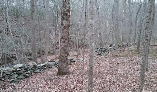 Photo #24 of 0 ROLLINS FORD ROAD, AMISSVILLE, VA 73.9 acres