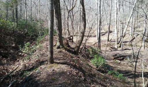 Photo #31 of 0 ROLLINS FORD ROAD, AMISSVILLE, VA 73.9 acres