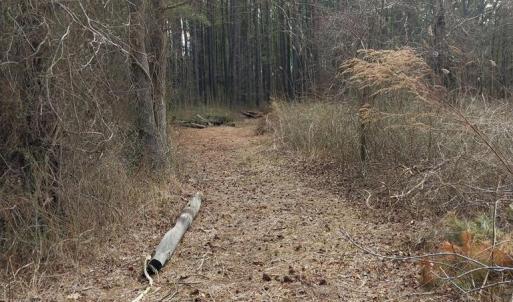 Photo #3 of 50+/- ac BELINDA RD, SANFORD, VA 50.0 acres