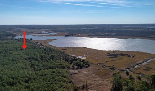 Photo #5 of 50 ac BELINDA RD, SANFORD, VA 50.0 acres