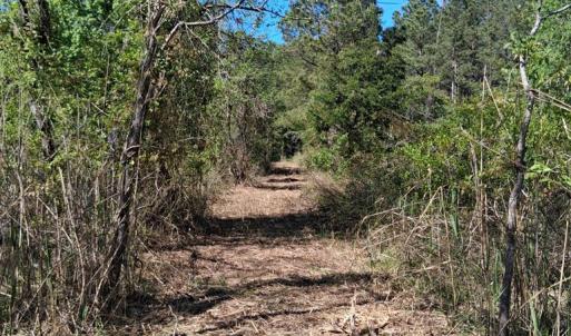 Photo #10 of 50 ac BELINDA RD, SANFORD, VA 50.0 acres