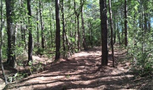 Photo #12 of 50 ac BELINDA RD, SANFORD, VA 50.0 acres