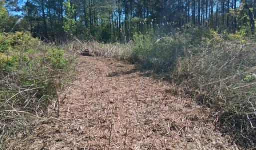 Photo #9 of 50 ac BELINDA RD, SANFORD, VA 50.0 acres