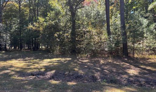 Photo #3 of Lot 7 FAIRWAY DR, MELFA, VA 0.9 acres