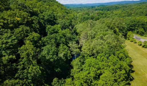 Photo #15 of TBD LITTLE CALF PASTURE HWY, SWOOPE, VA 9.1 acres