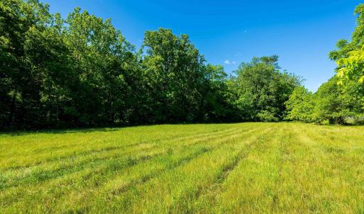 Photo #9 of TBD LITTLE CALF PASTURE HWY, SWOOPE, VA 9.1 acres
