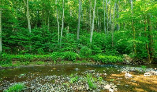 Photo #13 of TBD LITTLE CALF PASTURE HWY, SWOOPE, VA 9.1 acres