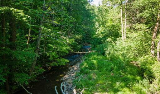 Photo #14 of TBD LITTLE CALF PASTURE HWY, SWOOPE, VA 9.1 acres