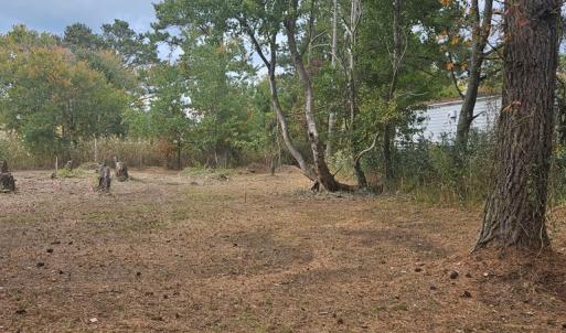 Photo #3 of LOT 283 NORTH HIBISCUS DR, CHINCOTEAGUE, VA 12.0 acres