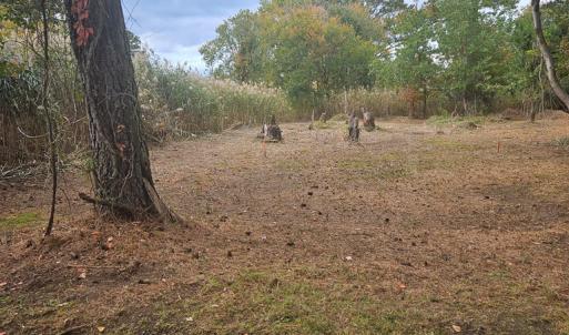 Photo #4 of LOT 283 NORTH HIBISCUS DR, CHINCOTEAGUE, VA 12.0 acres