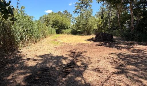 Photo #3 of LOT 283 NORTH HIBISCUS DR, CHINCOTEAGUE, VA 12.0 acres