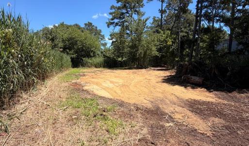 Photo #4 of LOT 283 NORTH HIBISCUS DR, CHINCOTEAGUE, VA 12.0 acres