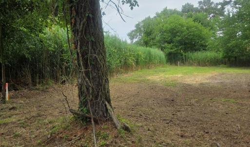 Photo #4 of LOT 283 NORTH HIBISCUS DR, CHINCOTEAGUE, VA 12.0 acres