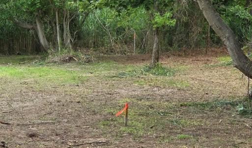 Photo #2 of LOT 283 NORTH HIBISCUS DR, CHINCOTEAGUE, VA 12.0 acres