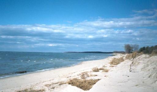 Community Private Soft Sand Beach