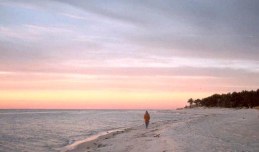 Photo #20 of Lot 15D SAND HILL DR, CAPE CHARLES, VA 1.2 acres