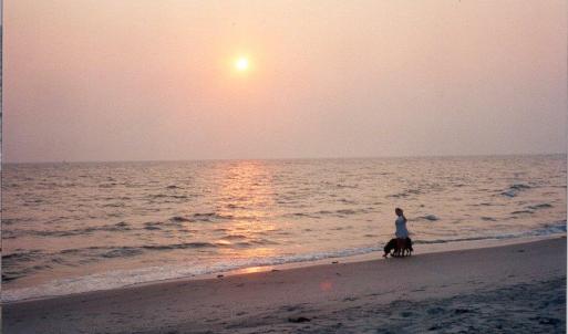 Photo #21 of Lot 15D SAND HILL DR, CAPE CHARLES, VA 1.2 acres