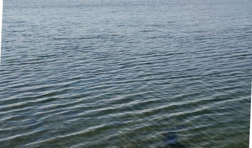 Photo #2 of Lot #5 MARSH ISLAND DR, CHINCOTEAGUE, VA 0.1 acres