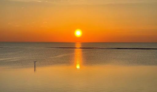 Photo #2 of 102 BLUE HEAVEN RD, CAPE CHARLES, VA 8,599.0 acres