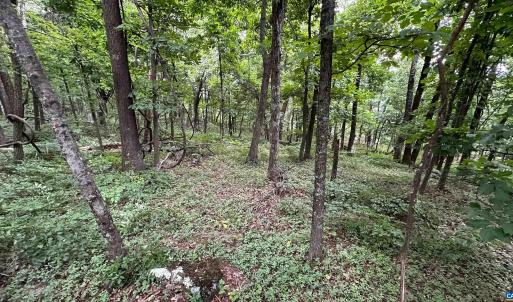 Photo #20 of TROXEL GAP RD, MIDDLEBROOK, VA 135.5 acres