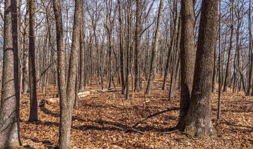 Photo #12 of TROXEL GAP RD, MIDDLEBROOK, VA 135.5 acres