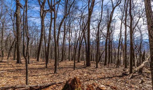 Photo #7 of TROXEL GAP RD, MIDDLEBROOK, VA 135.5 acres