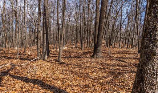 Photo #26 of TROXEL GAP RD, MIDDLEBROOK, VA 135.5 acres